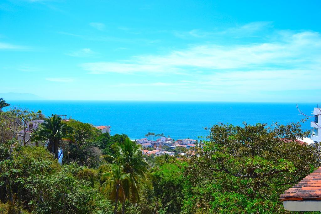 Condo Selva Alta بويرتو فالارتا الغرفة الصورة